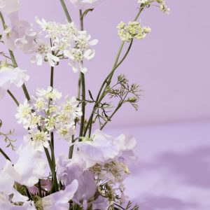 a purple vase filled with white flowers - minimalist